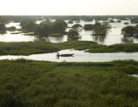 , La vie secrète des lacs : Le lac Tonlé Sap, le coeur battant du Cambodge